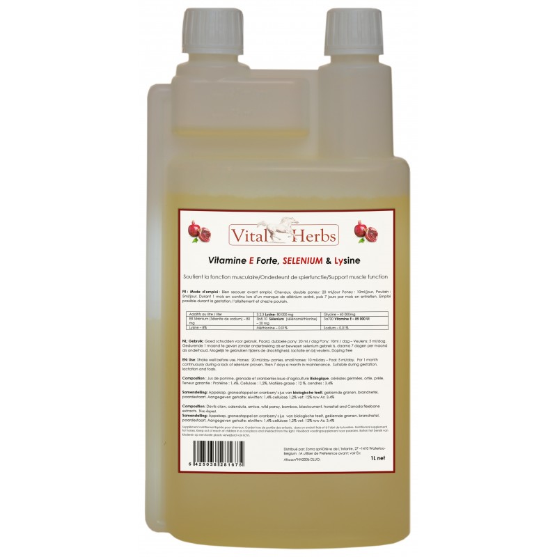 Muscle Gain (e-vit, lysiini, seleeni) 1l Päiväys 03/25