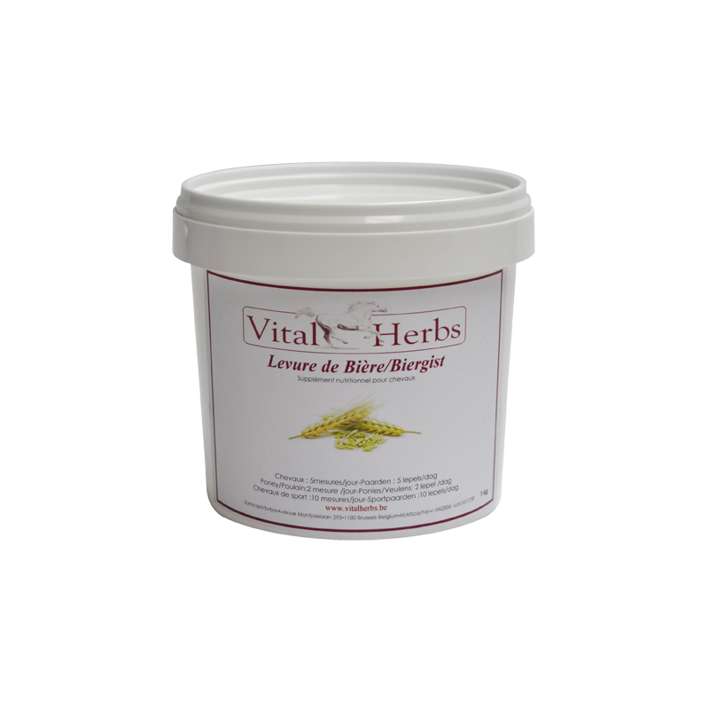 Brewers Yeast - Oluthiiva 1kg 10/24