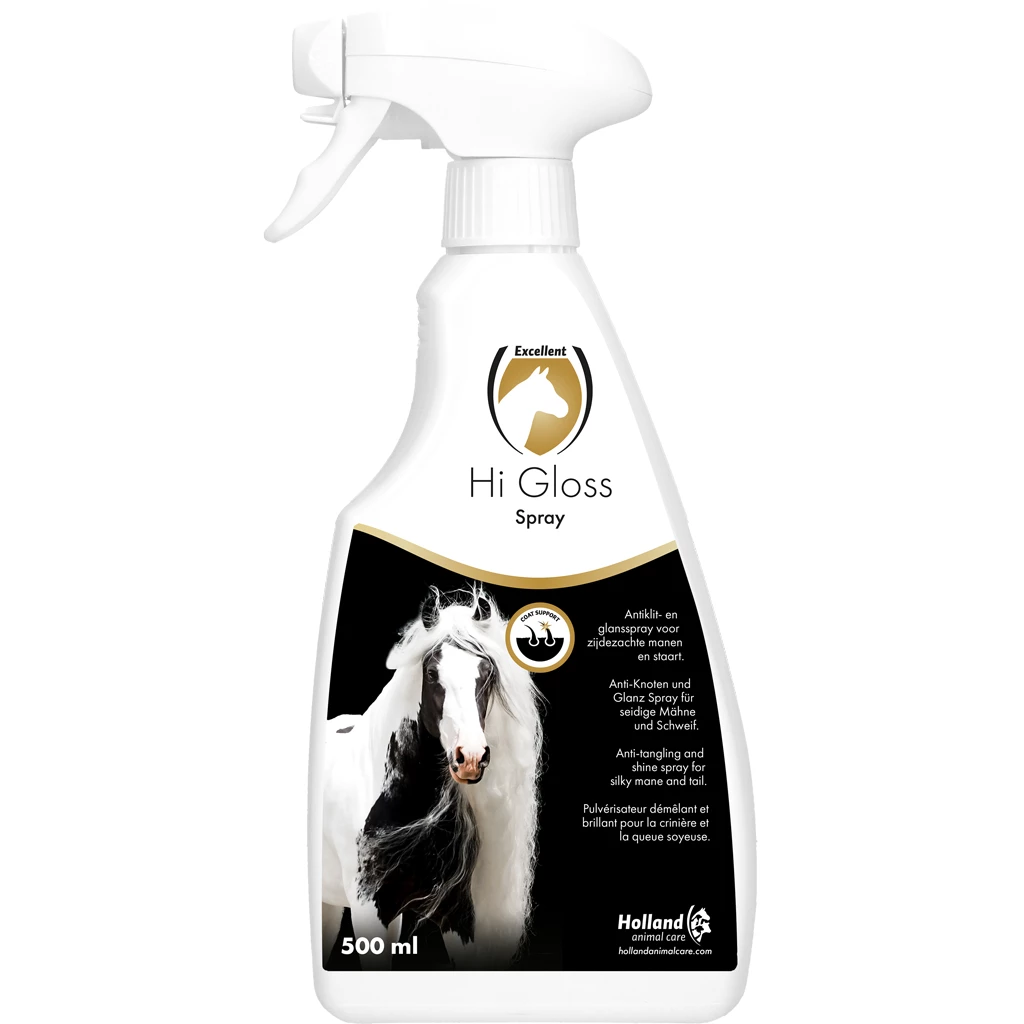 Excellent Hi Gloss spray