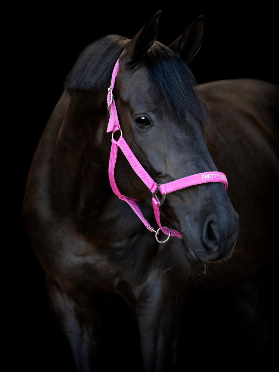 HorseGuard Malva riimu