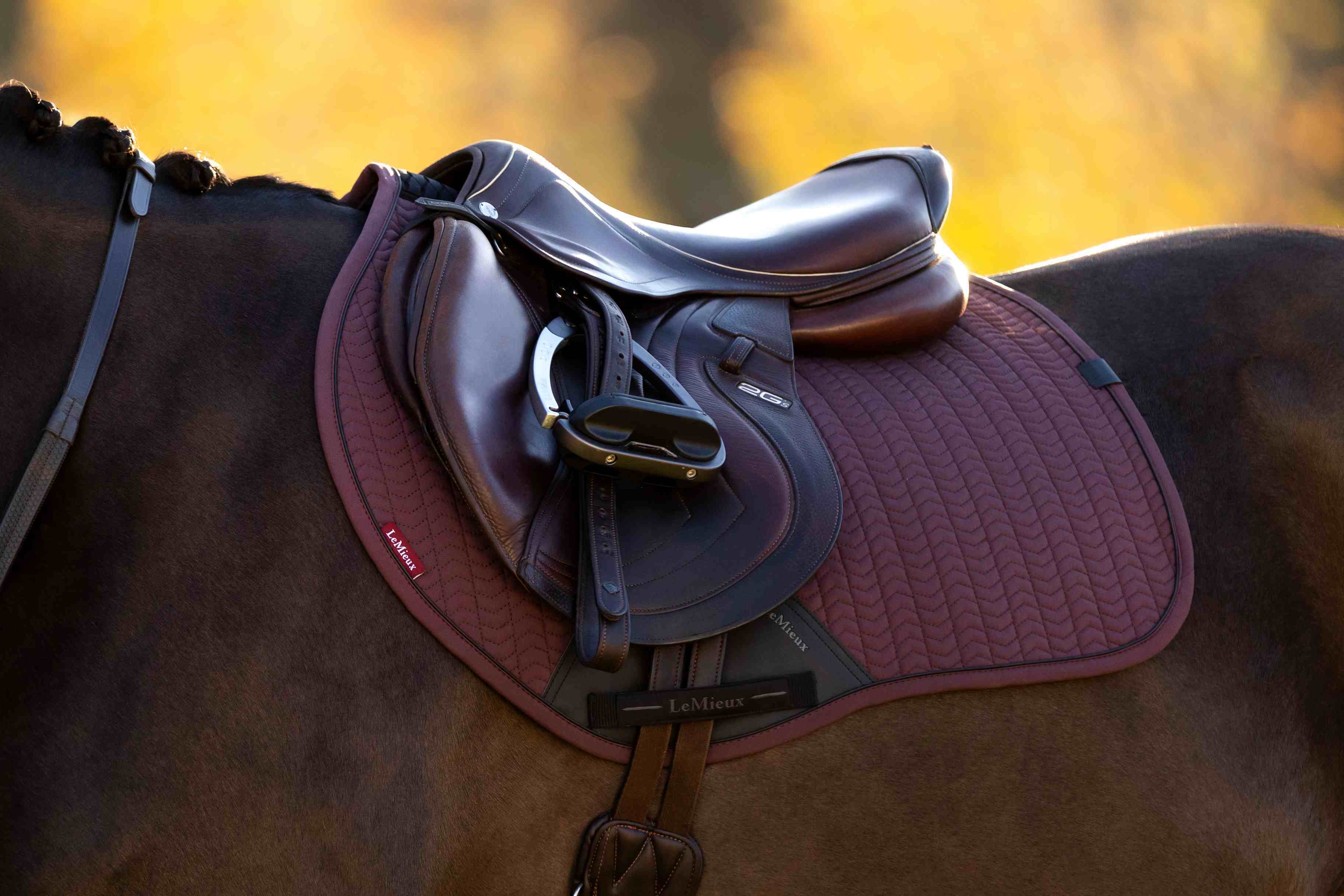 LeMieux Essence Eurojump estehuopa AW25