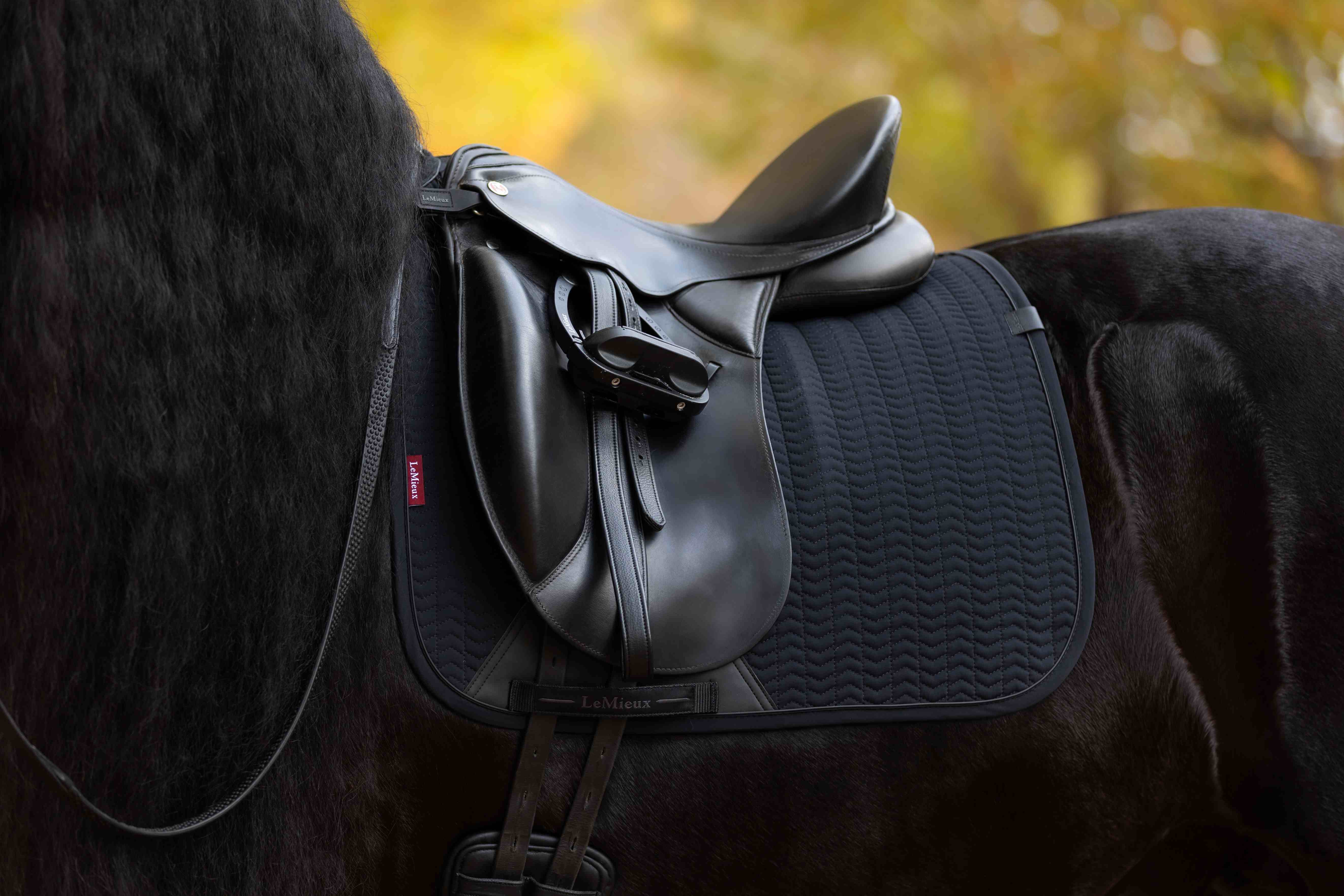LeMieux Essence kouluhuopa AW25
